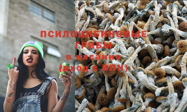 таблы Горнозаводск