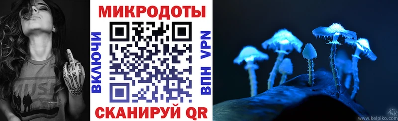 где найти наркотики  Алупка  Псилоцибиновые грибы Psilocybe 